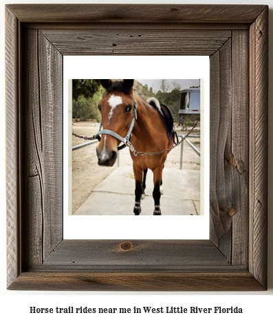 horse trail rides near me in West Little River, Florida